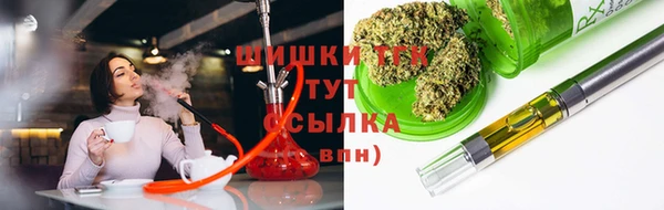 прущая мука Вяземский