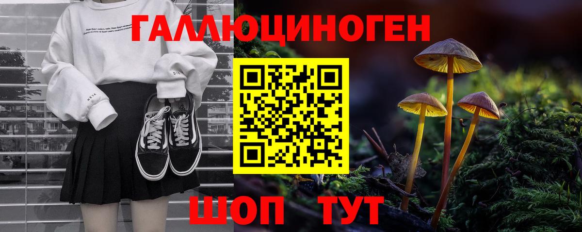 Кандалакша  Псилоцибиновые грибы Magic Shrooms  Вход с VPN 