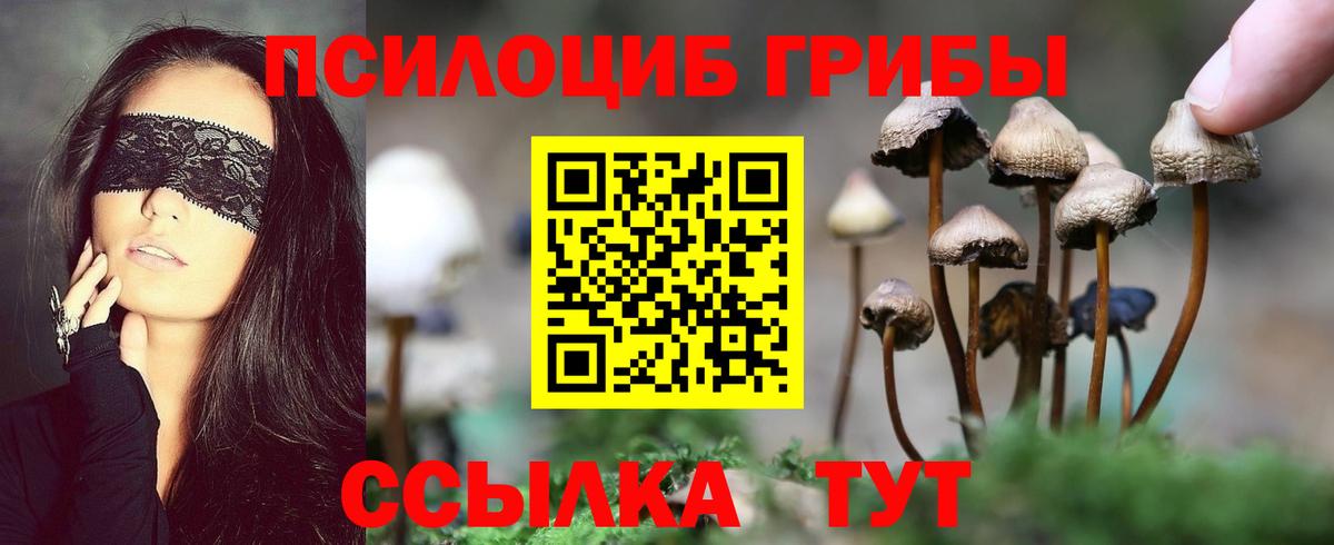 Галлюциногенные грибы Magic Shrooms Кандалакша