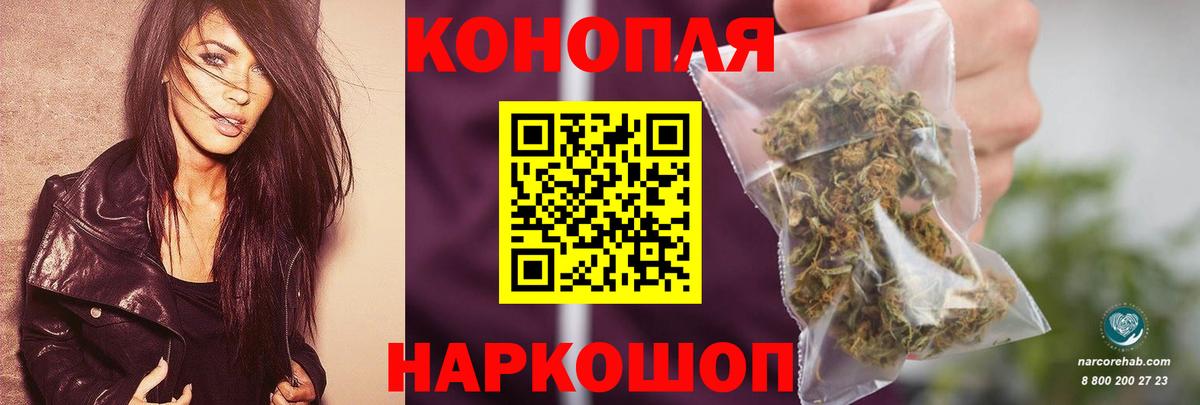 Конопля Кандалакша